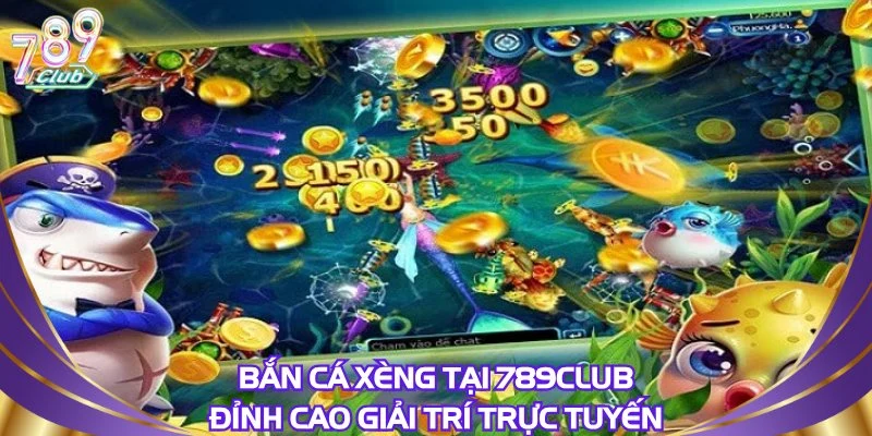 ban-ca-xeng