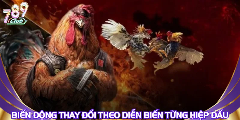 bien-dong-thay-doi-theo-dien-bien-tung-hiep-dau