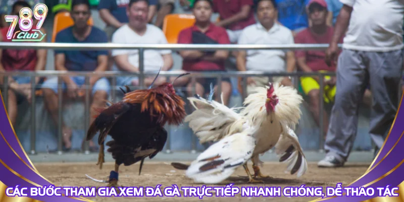 cac-buoc-tham-gia-xem-da-ga-truc-tiep-nhanh-chong-de-thao-tac