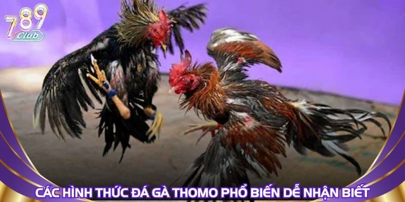 cac-hinh-thuc-da-ga-thomo-pho-bien-de-nhan-biet