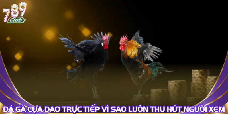 da-ga-cua-dao-truc-tiep