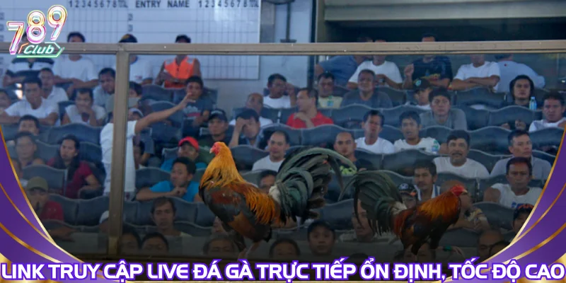 link-truy-cap-live-da-ga-truc-tiep-on-dinh-toc-do-cao