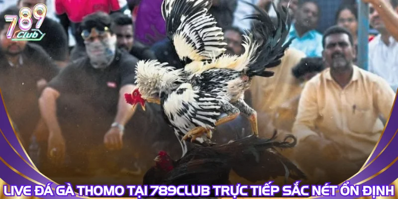 live-da-ga-thomo