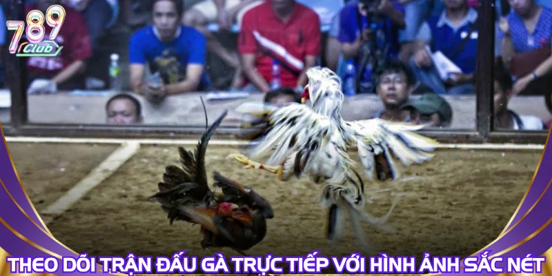 theo-doi-tran-dau-ga-truc-tiep-voi-hinh-anh-sac-net