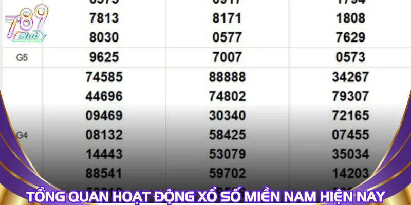 tong-quan-hoat-dong-xo-so-mien-nam-hien-nay
