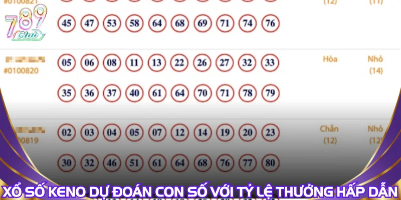 xo-so-keno-du-doan-con-so-voi-ty-le-thuong-hap-dan